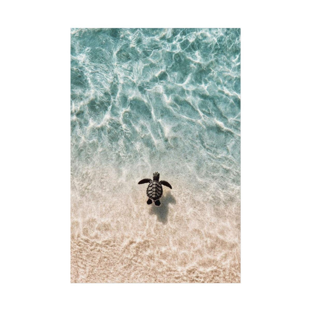 "Little Honu" Baby Sea Turtle Watercolour Poster