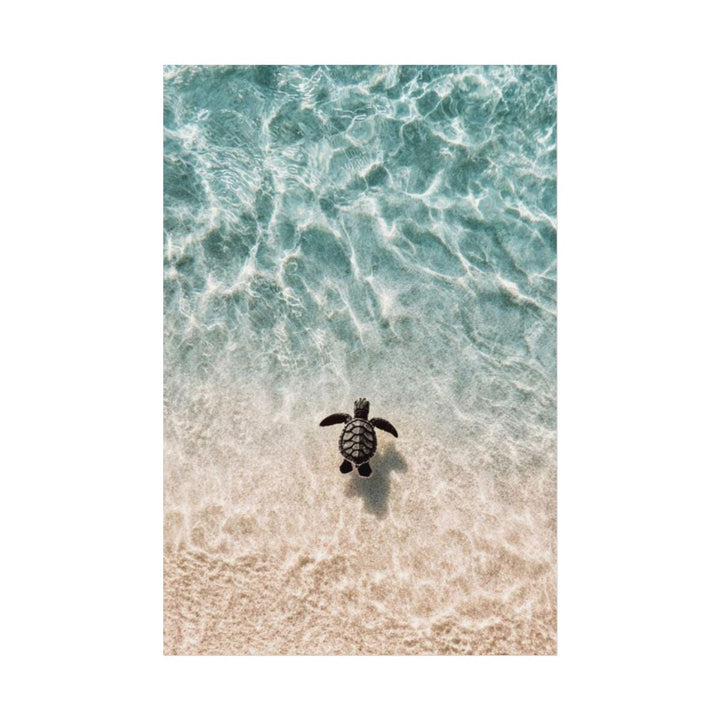 "Little Honu" Baby Sea Turtle Watercolour Poster
