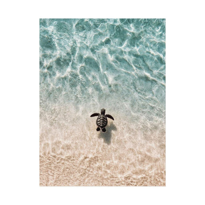 "Little Honu" Baby Sea Turtle Watercolour Poster