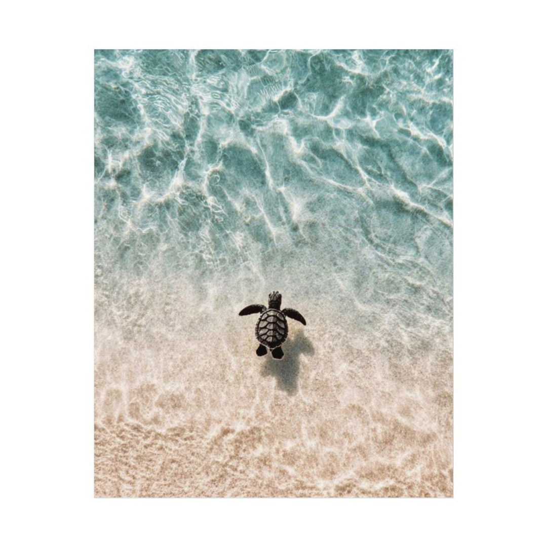 "Little Honu" Baby Sea Turtle Watercolour Poster