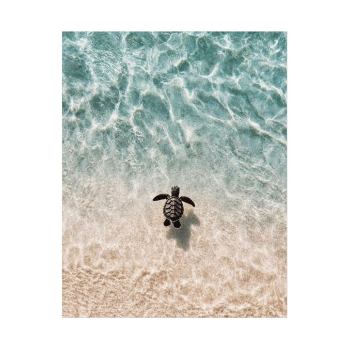 "Little Honu" Baby Sea Turtle Watercolour Poster