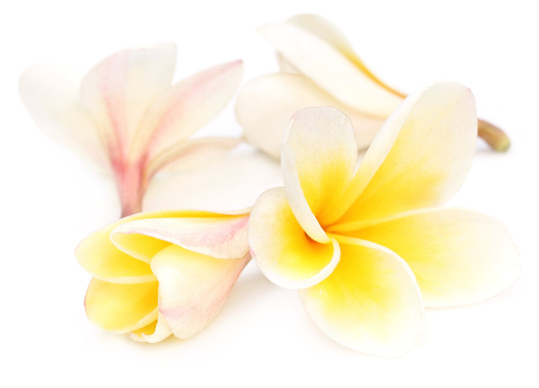 Organic Perfume Oil - Hawaiian Flower Lei Roll-On with Pure Essential Oils (10ml)
