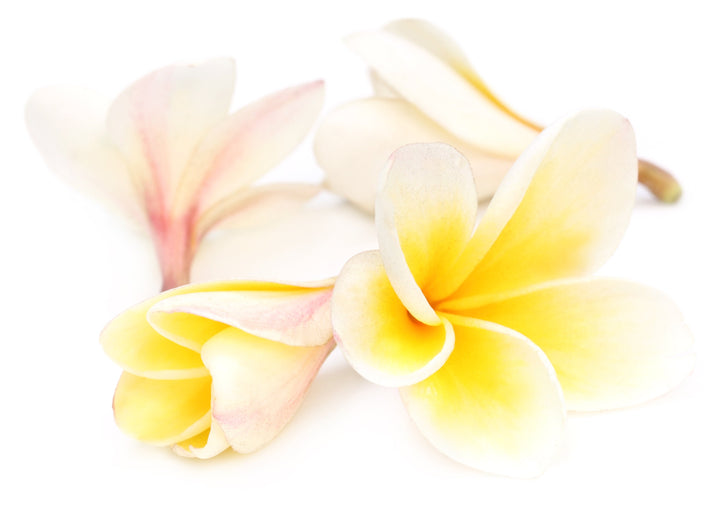 Organic Perfume Oil - Hawaiian Flower Lei Roll-On with Pure Essential Oils (10ml)