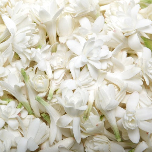 Organic Tuberose key ingredient found in our organic perfume balm